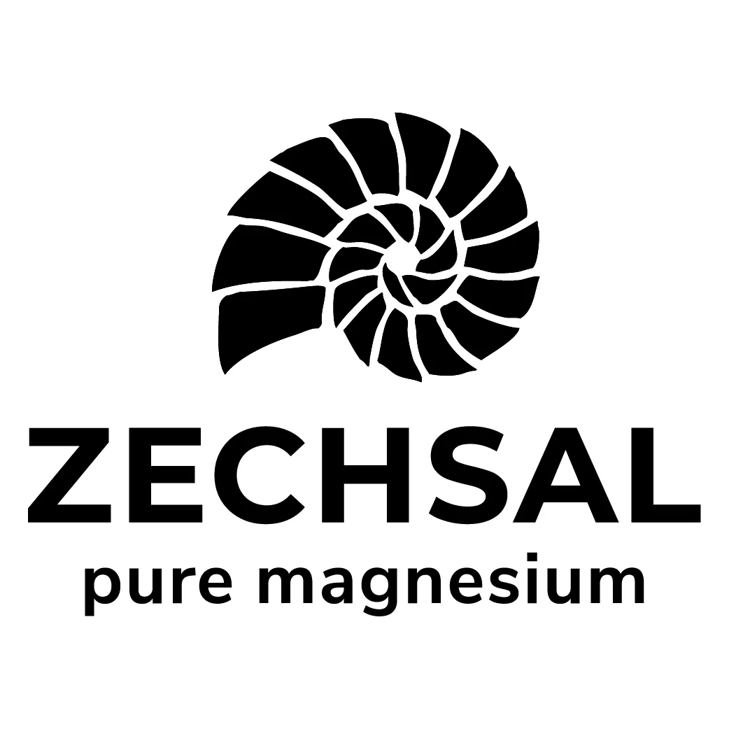 Zechsal