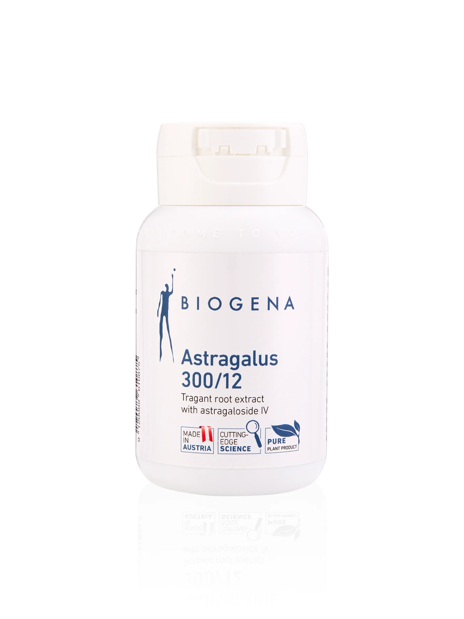 Astragalus 300/12 - undefined